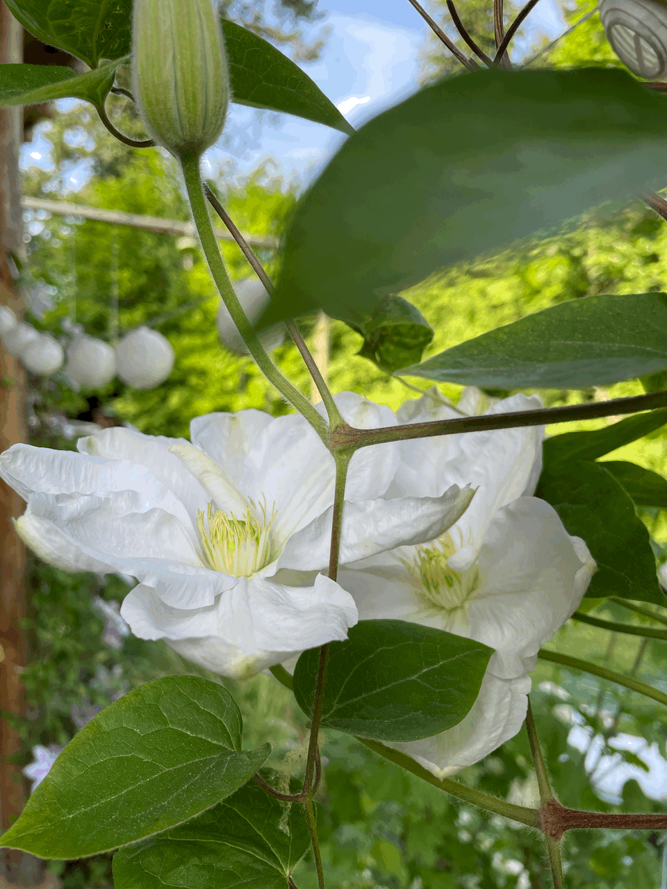 Bade in seiner Gnade